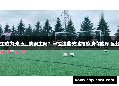 想成为球场上的霸主吗？掌握这些关键技能助你脱颖而出