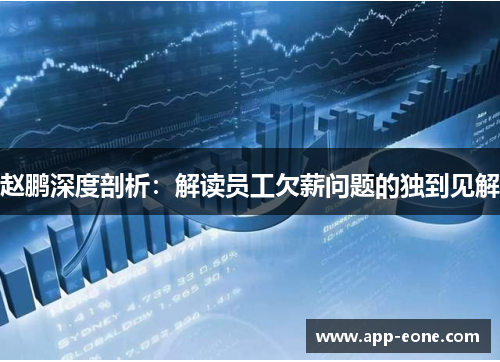 赵鹏深度剖析:解读员工欠薪问题的独到见解 赵鹏深度剖析:解读员工欠薪问题的独到见解