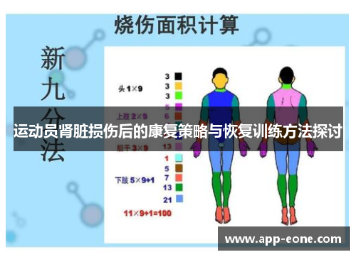 运动员肾脏损伤后的康复策略与恢复训练方法探讨