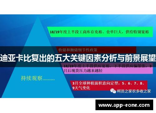 迪亚卡比复出的五大关键因素分析与前景展望