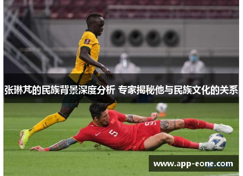 张琳芃的民族背景深度分析 专家揭秘他与民族文化的关系 张琳芃的民族背景深度分析 专家揭秘他与民族文化的关系